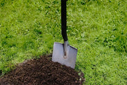 When to fertilise the grass on your new lawn