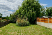 Fixing lawn problems: Dry grass and brown patches