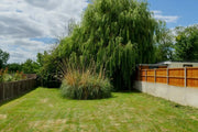 Fixing lawn problems: Dry grass and brown patches