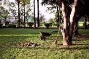 How much grass seed do I need? A guide to measuring your lawn
