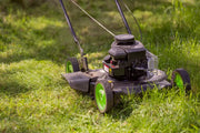 When to cut new grass: Your how-to guide