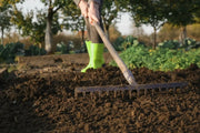 A comprehensive month-by-month lawn care calendar for the UK