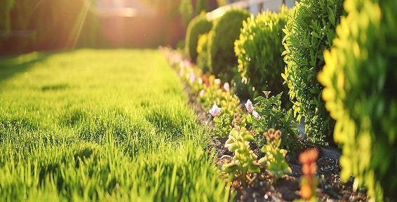 Spring Prepare