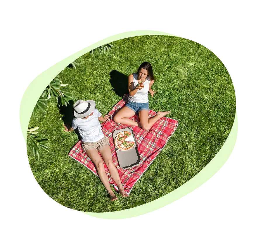 People enjoying a picnic on a green lawn