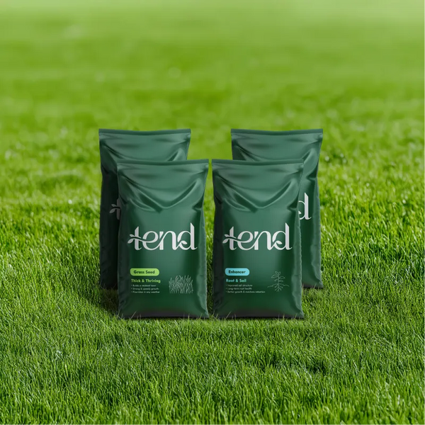 Lawn Starter Bundle