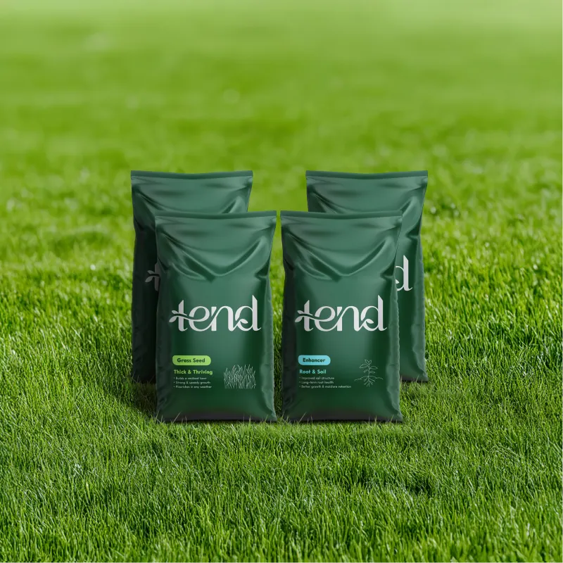 Lawn Starter Bundle