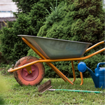 Load image into Gallery viewer, Lawn Starter Bundle
